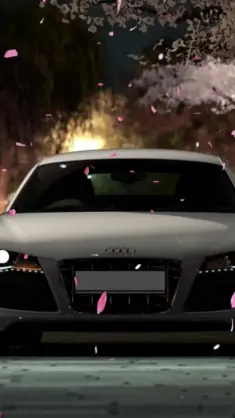 Audi R8 Near Sakura live wallpaper download