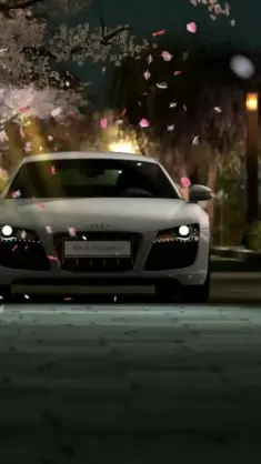 Audi R8 Parked at Night live wallpaper download