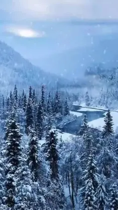 From the Breath of God live wallpaper download