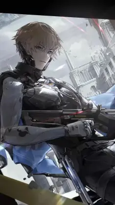 Punishing Gray Raven Lee live wallpaper download