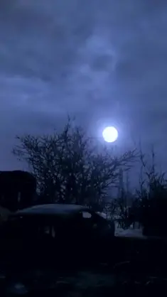 Snowy Night (Metro Exodus) live wallpaper download