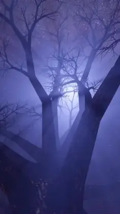 Night Tree Under Moonlit live wallpaper download