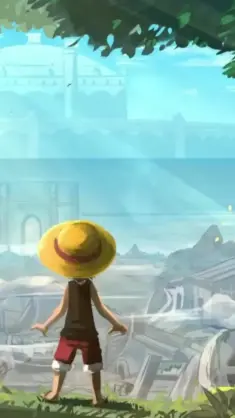Luffy Kid in Gray Terminal live wallpaper download