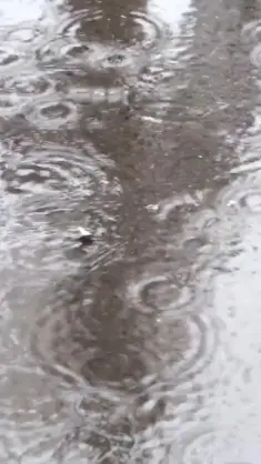Rain live wallpaper download