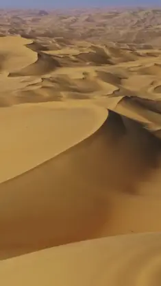 Liwa-Sand Dunes live wallpaper download