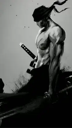 Black and White Zoro live wallpaper download