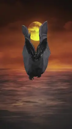 Flying Bat live wallpaper download