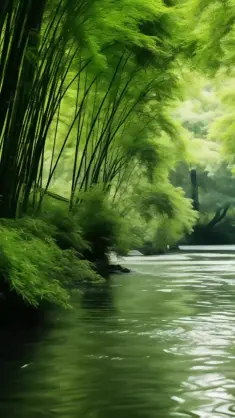 Bamboo Forest live wallpaper download