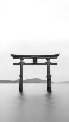 Torii live wallpaper download