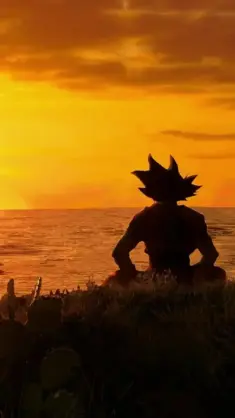 Goku Meditating While Facing the Sunset live wallpaper download