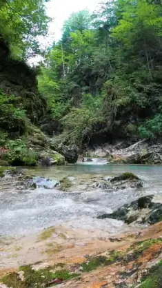 Sounds of Nature live wallpaper download