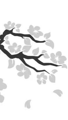 White Sakura Blossom live wallpaper download