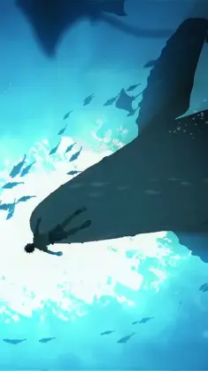 Whale Dreams live wallpaper download