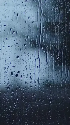 Rain Drops on Window live wallpaper download