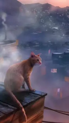 Red Tabby Cat live wallpaper download