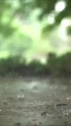Raining live wallpaper download