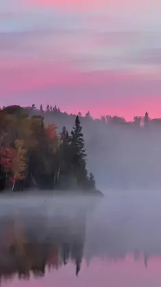 Foggy Lake live wallpaper download