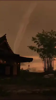 Dojo (Ghost of Tsushima) live wallpaper download