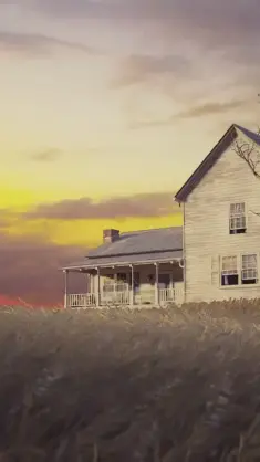 Ellie's House (The Last of Us) live wallpaper download