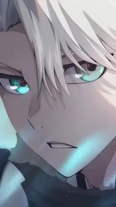 Hitsugaya Toshiro (Bleach) live wallpaper download