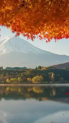 Mountain Landscape in Autumn live wallpaper download