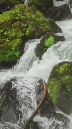 Rushing Waterfall live wallpaper download