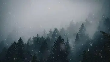 Snowfall in Forest animated wallpaper download