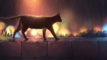 Anime Black Cat in the Rain live wallpaper download