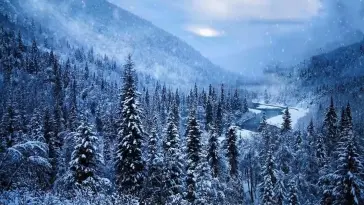 From the Breath of God live wallpaper download