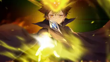 Reborn-Tsunayoshi Sawada live wallpaper download