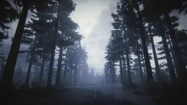 Fog in Pine Forest live wallpaper download