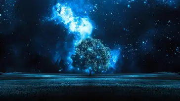 Starry Sky and Tree live wallpaper download