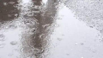 Rain live wallpaper download