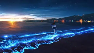 Girl on the Beach at Night live wallpaper download