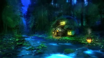 Calm Night in Forest live wallpaper download