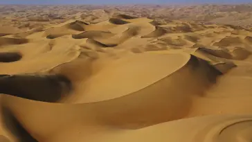 Liwa-Sand Dunes live wallpaper download