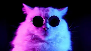 Jazzy Cat live wallpaper download