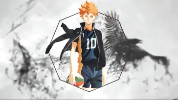 Shoyo Hinata live wallpaper download