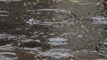 Raindrops live wallpaper download