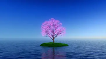 Pink Tree live wallpaper download