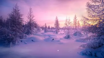Winter live wallpaper download