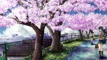 Cherry Blossom (Anime) live wallpaper download
