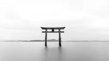 Torii live wallpaper download