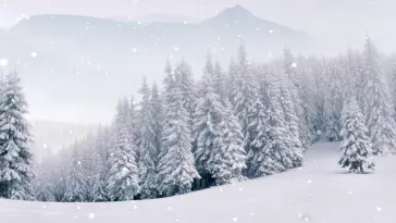 Snowy Forest live wallpaper download