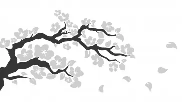 White Sakura Blossom live wallpaper download