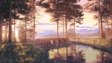 Forest Sunset live wallpaper download