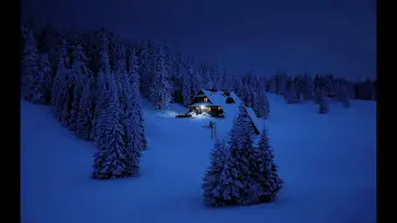 Snowing in Forest live wallpaper download