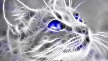 Cat With Blue Eyes live wallpaper download