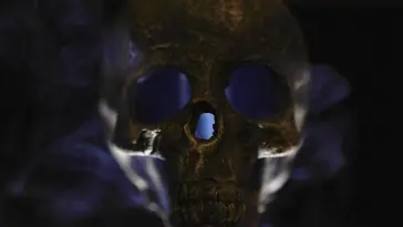 Smoking Skull live wallpaper download