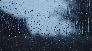Rain Drops on Window live wallpaper download